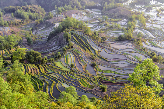 青山变梯田