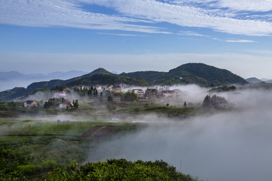 高山流云