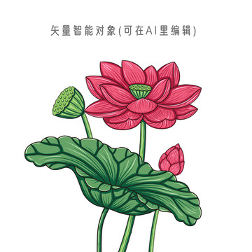 国潮荷花