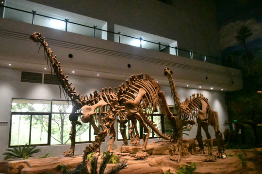 恐龙博物馆