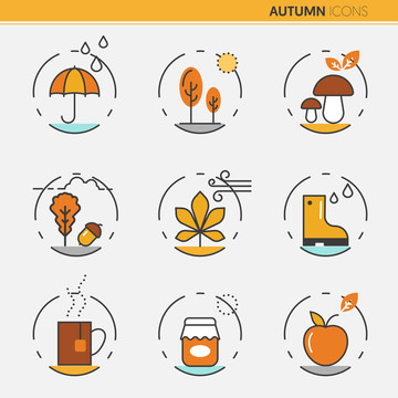 褐橙色秋季天气食材枫叶图标