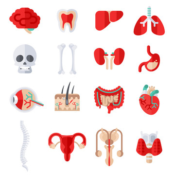 创意人体器官剖析图贴图设计集合