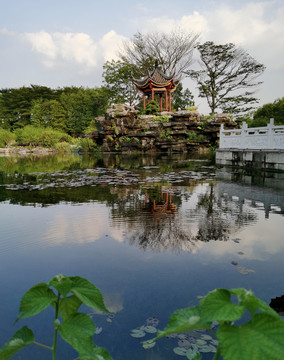 园林美景