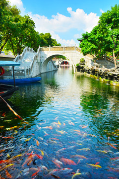 荔景桥和锦鲤