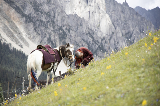 山坡上的僧人和马
