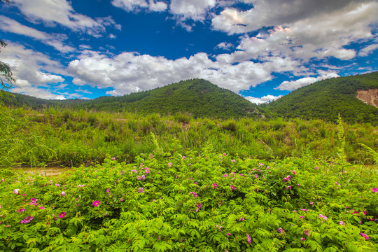 吉林延吉琵岩山