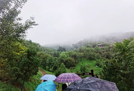 雨中秦岭