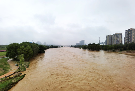 灞河洪水