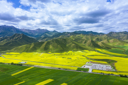 青山田野农田