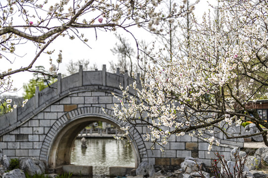 小桥流水桃花开春景图