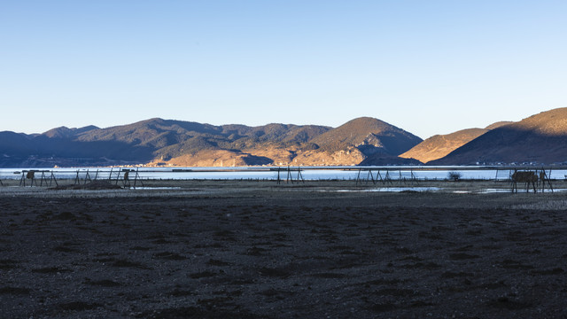 香格里拉纳帕海阳光沼泽化草甸