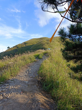 徒步武功山风景