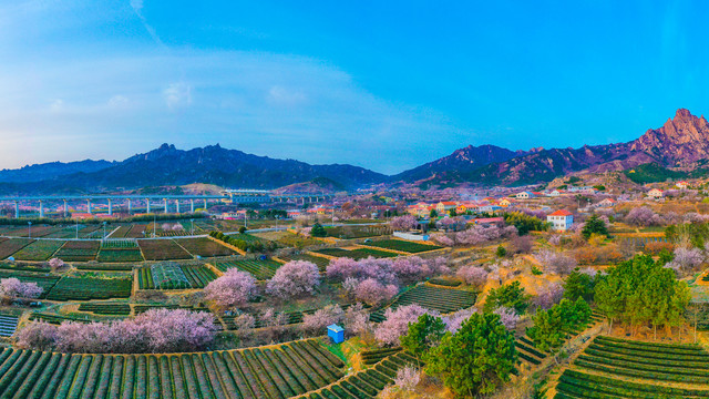 崂山庙石村风光