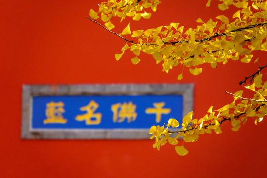 南京栖霞山栖霞寺秋景