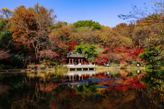 南京栖霞山秋季红叶