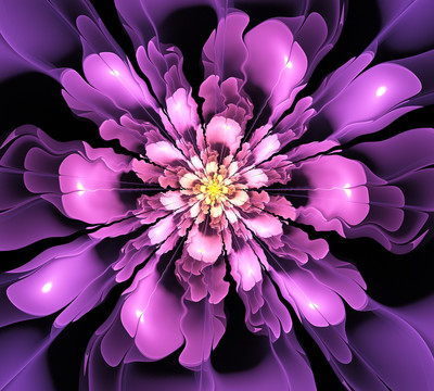 紫色花朵