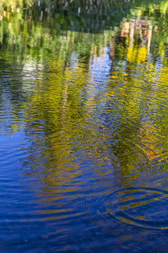 秋天树林倒映在水面抽象画