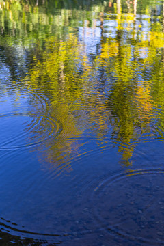 秋天树林倒映在水面抽象画