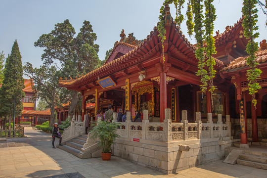 赵县柏林禅寺