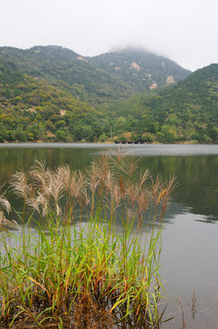 山中湖泊