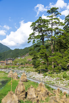 广西融水培秀村风光