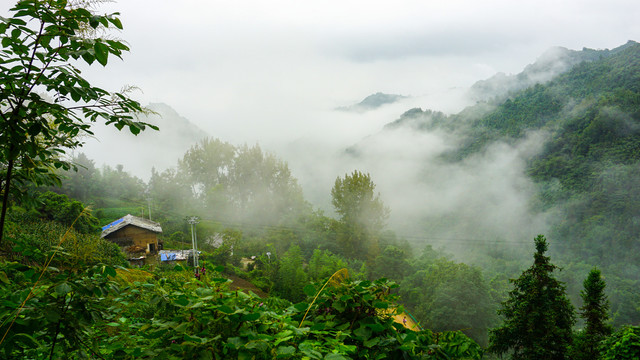 乡村雾色