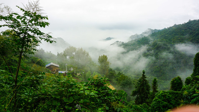 龙王垭云雾青山