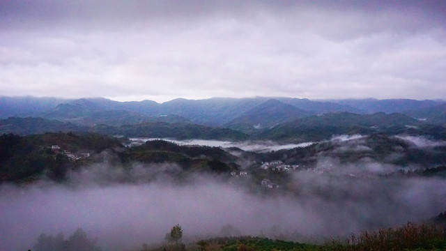 雨中森林