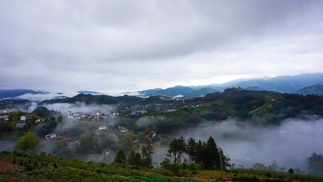 高山晨雾浓厚