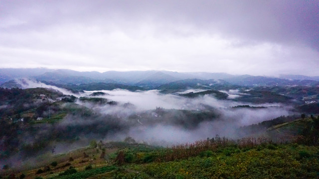 县河高山晨雾