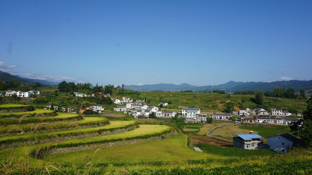 贡米基地九