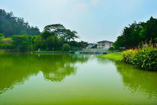 顺峰山湖景