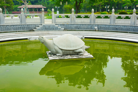 石龟