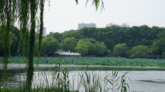 东湖水景