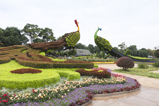云南昆明国庆节植物造型立体花坛