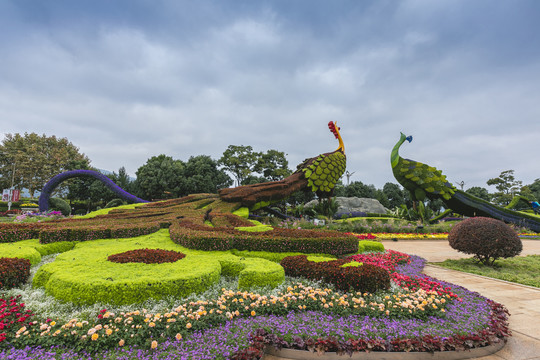 蓝天白云立体花坛城市景观