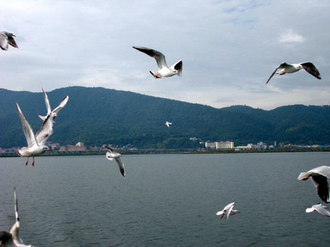 海阔天空