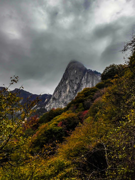 陕西华山