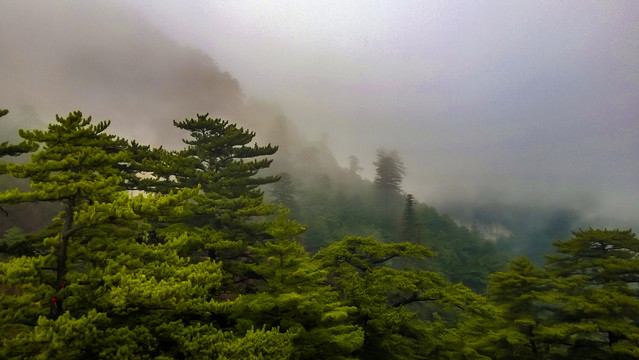 陕西华山