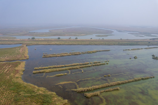 航拍东营黄河口湿地