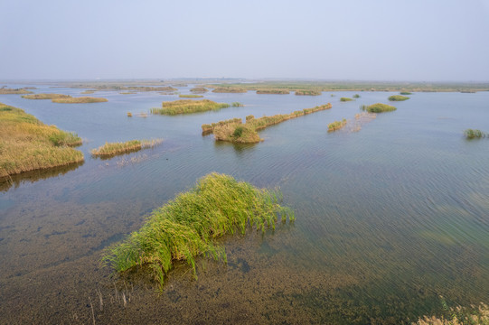 航拍东营黄河口湿地