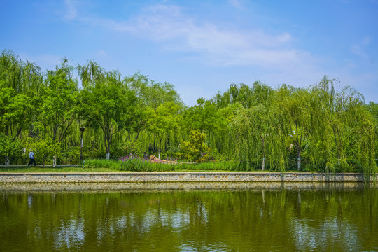 天津河岸景观