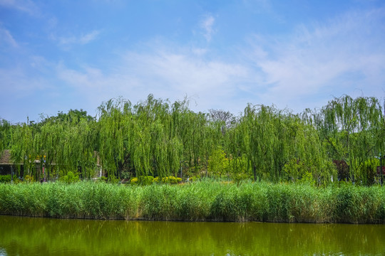 天津河岸景观