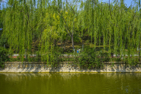 天津河道景观