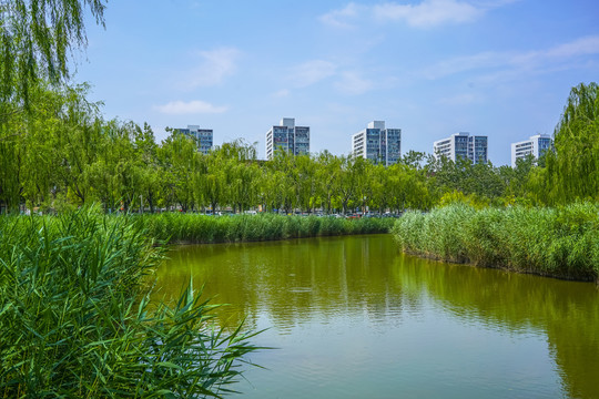 天津河道景观