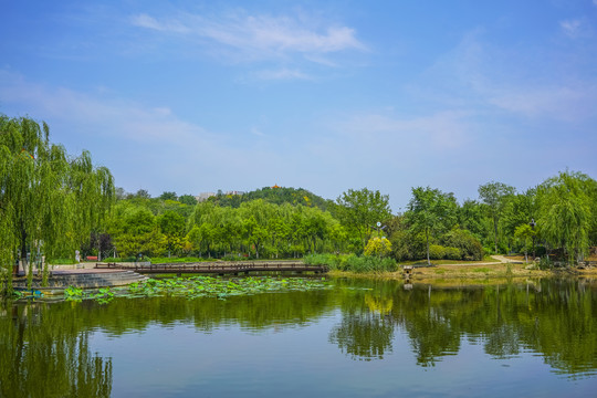 天津南翠屏公园水景