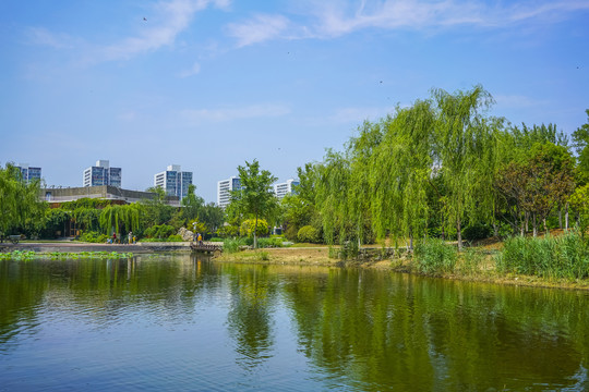 天津南翠屏公园水景