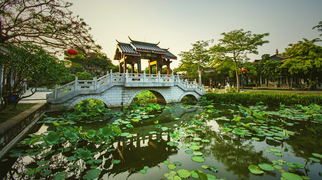 丰诸园