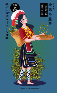 高山族采茶女桂花乌龙茶包装插画