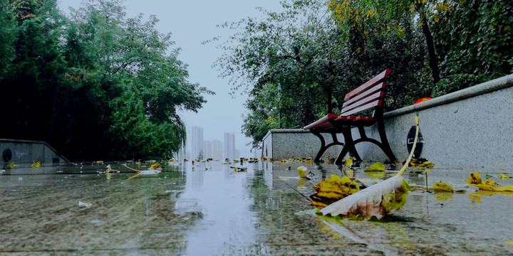 雨天公园景观